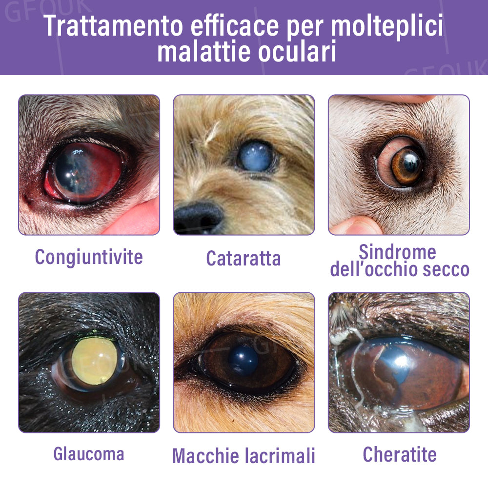 👩‍⚕️GFOUK® Gocce Oculari NanoCare per Animali ☑️ Allevia congiuntivite, secchezza oculare, cataratta e cheratite 🐶
